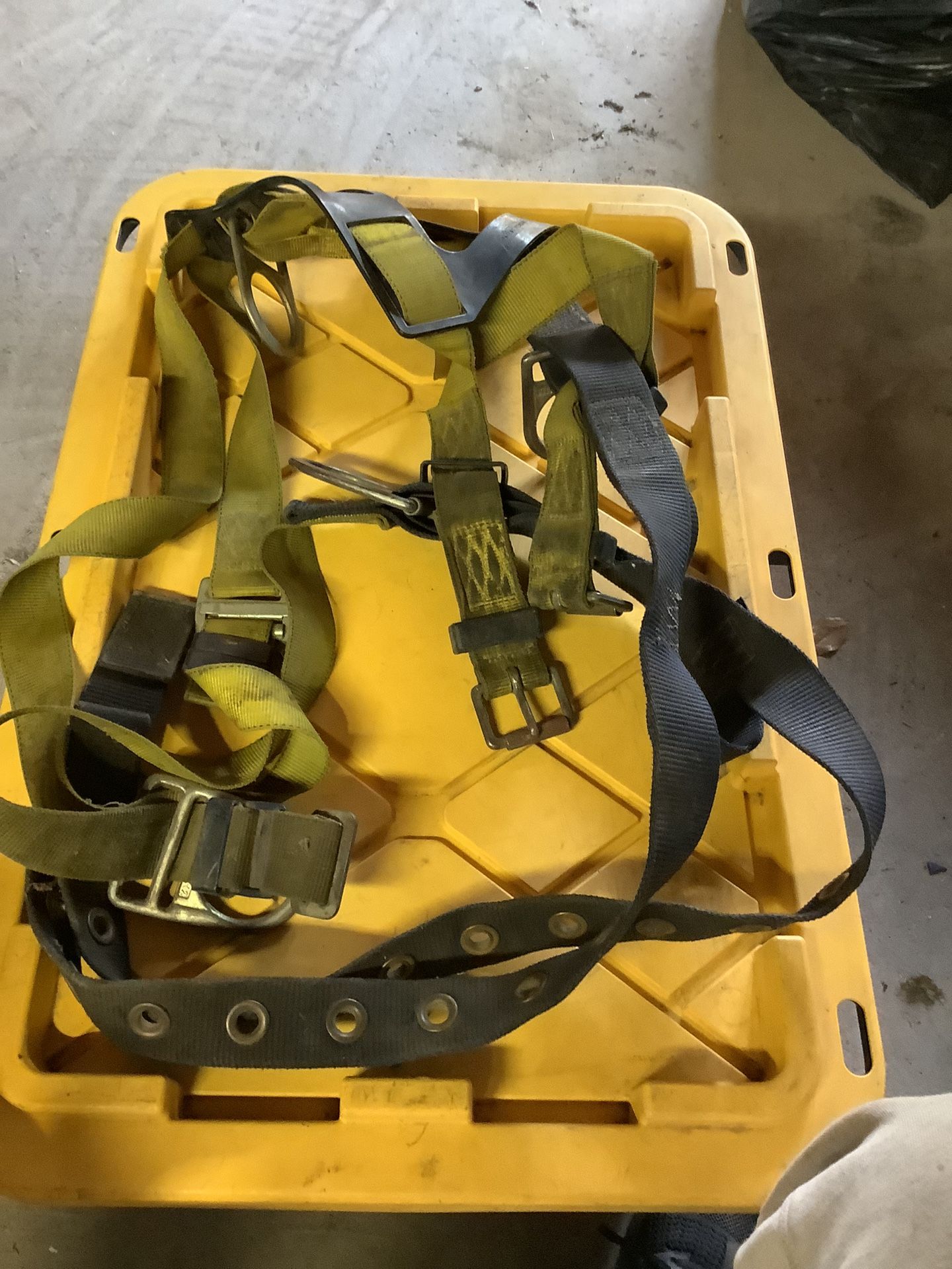 Harness