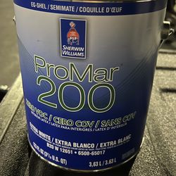 Interior Egg Shell Paint - White