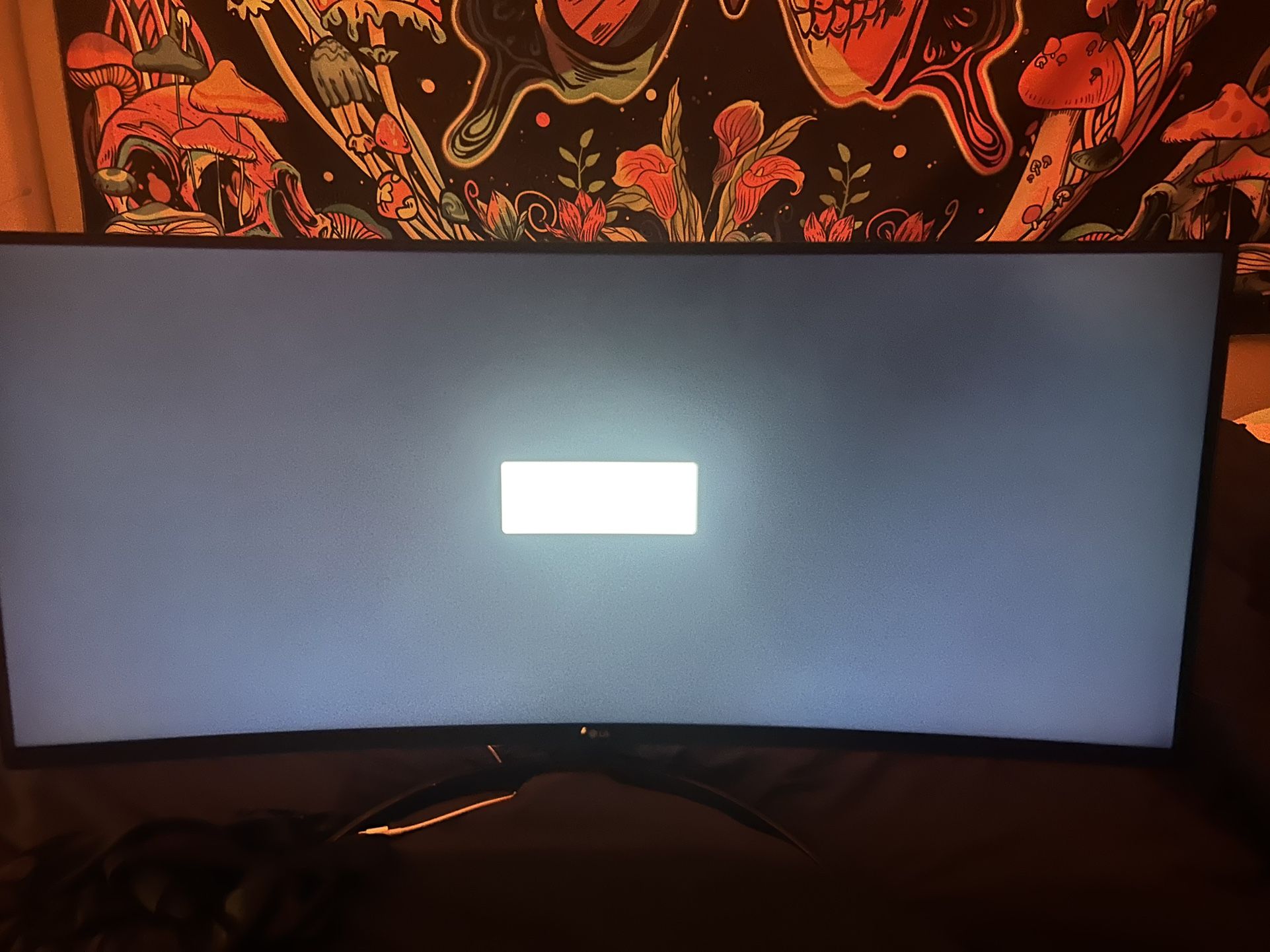 LG 34 Curved Ultrawide