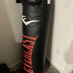 100lbs Everlast Heavy bag Leather