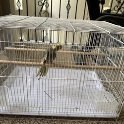 Bird Cage 