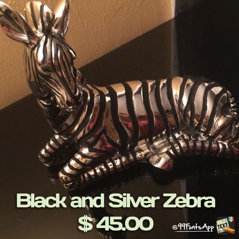 Home Decor Zebra