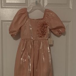 Brand New Girls Beautiful Dressy Dress Size 4T (kids)