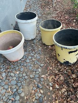 Garden hard sturdy plastic pots (4) 10 gallon’s 17 inches tall