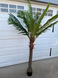 6’ tall Artificial Palm Tree