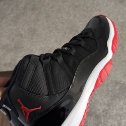 2021 Bred 11