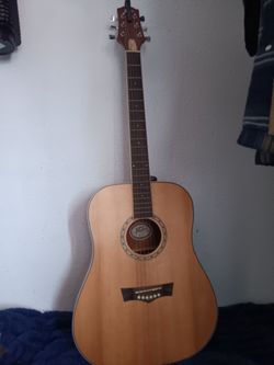 Peavey Acoustic Guitar 🎸
