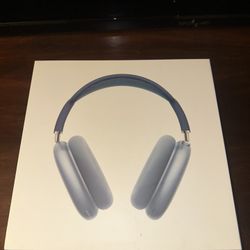 Apple AirPods 2nd Generation Blue 