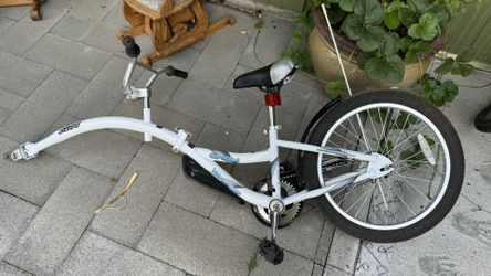 WeeRide Copilot Bike 20" Wheel