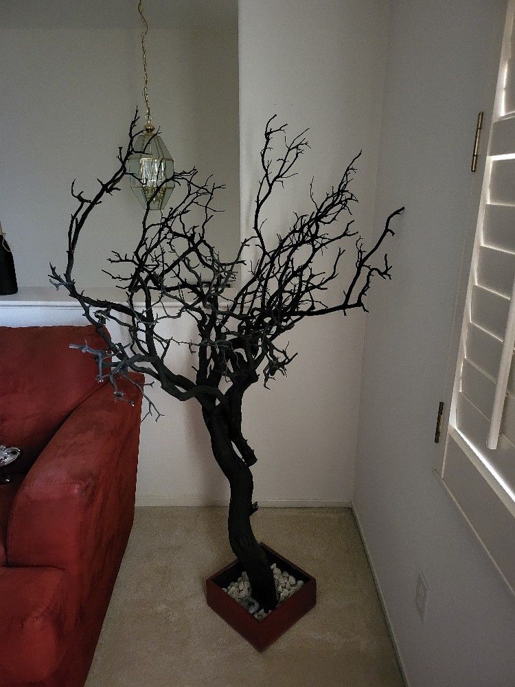 Manzanita Tree Branches