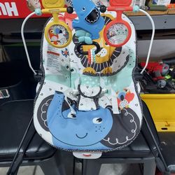 Baby Bouncer