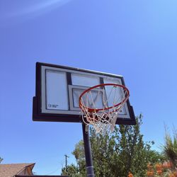 Basketball Hoop