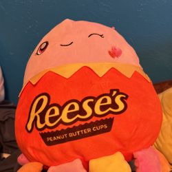 Squishmallow for sale