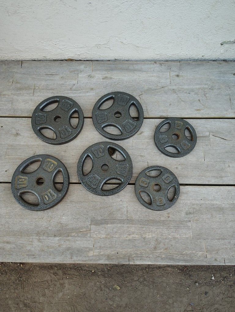 Weight Plates 50 Lbs