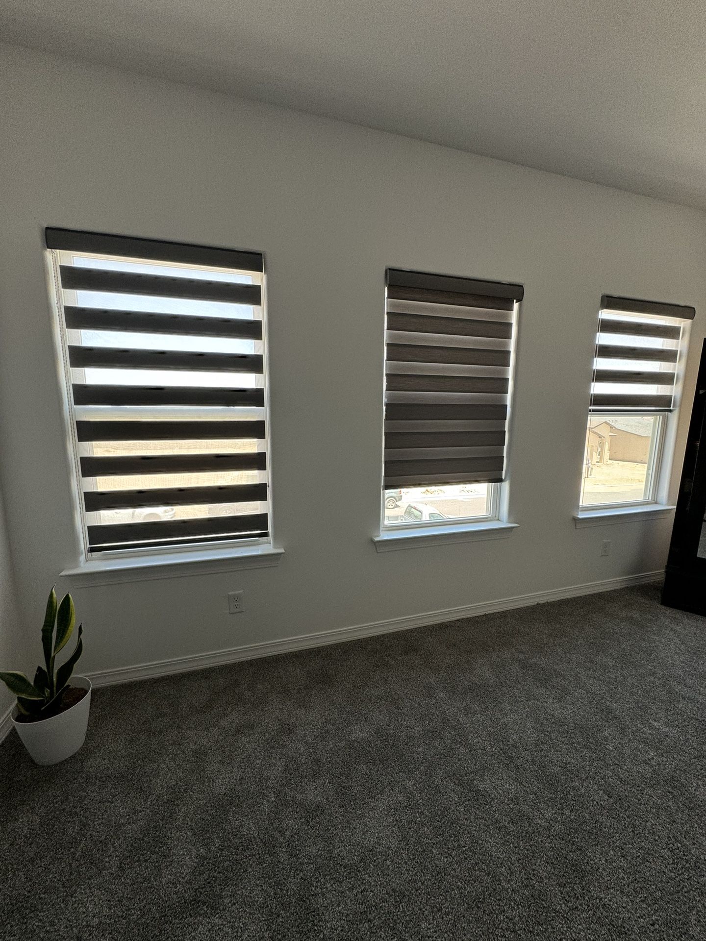 Window Coverings