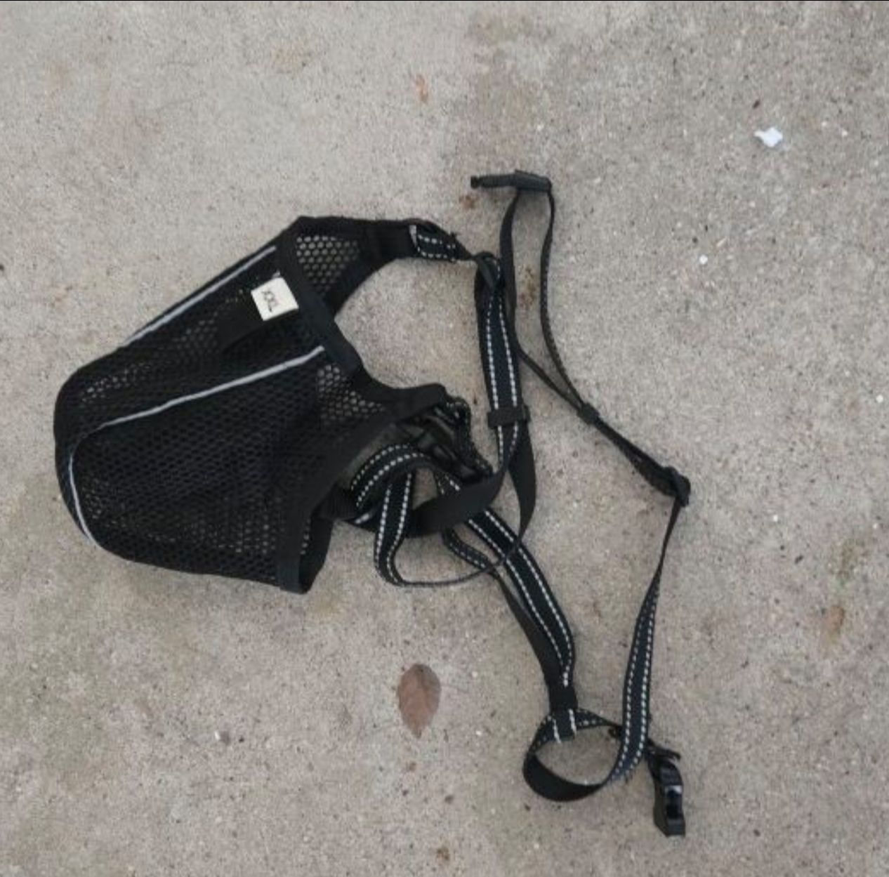 Moving sale. Lots of dog items. Prices are free to $10