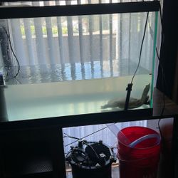 Fish Tank No Cracks 
