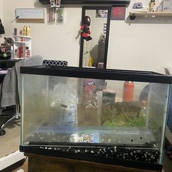 10 Gallon fish tank 