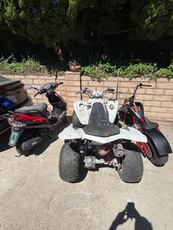 Motorcycle / quads / Minibike