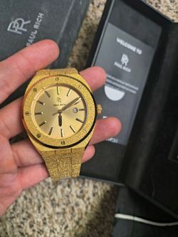 Paul Rich Gold on Gold Frosted Men's Watch (43mm dial)