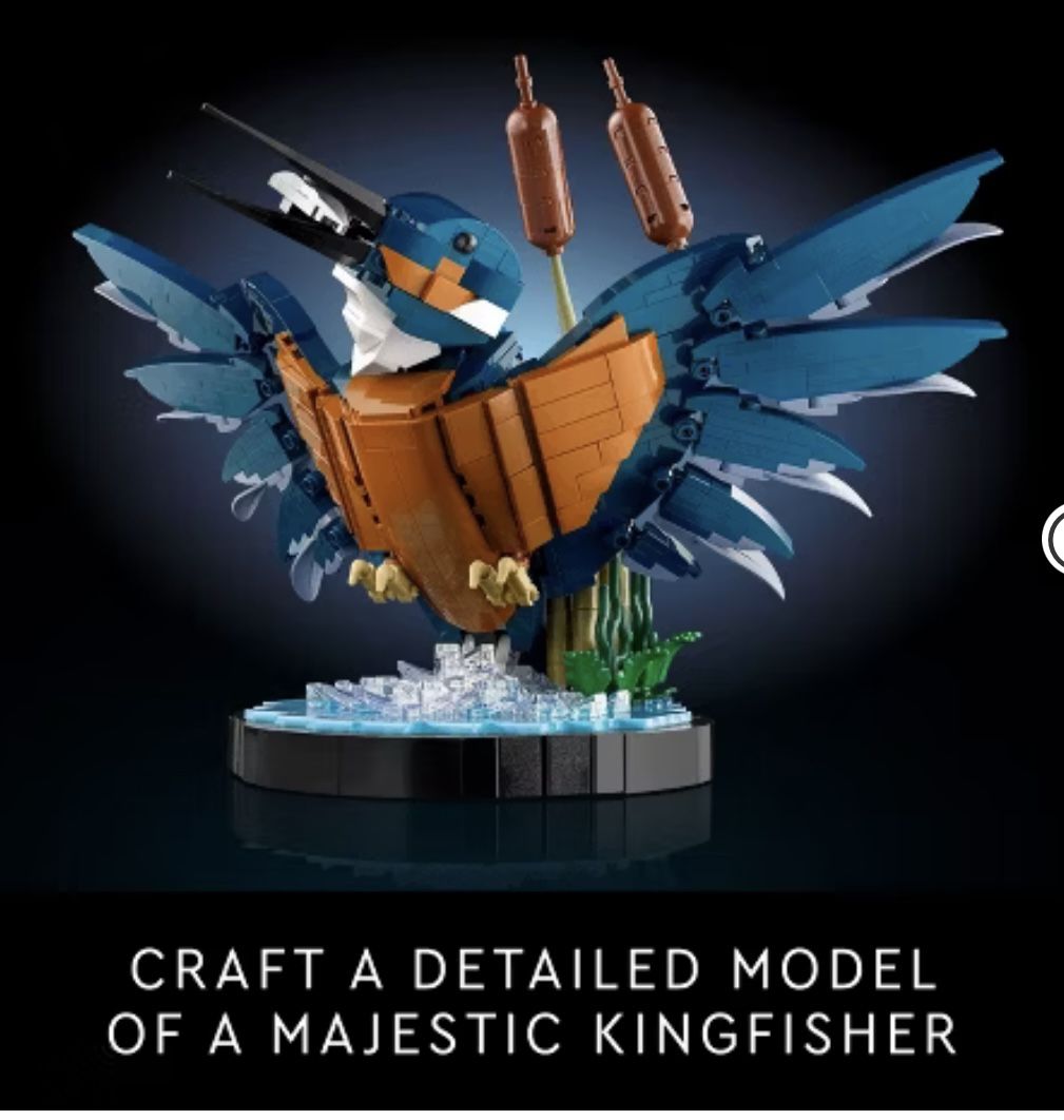 Lego Icons Kingfisher