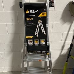 Gorilla Ladder