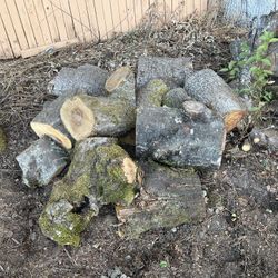 Free Wood