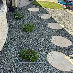 Plant Cage Protectors