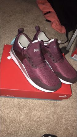 Pumas