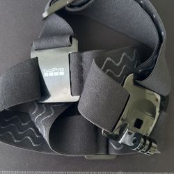 Official GoPro Head Strap $15