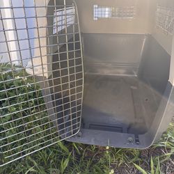 Dog  cage