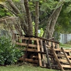 FREE Pallets 