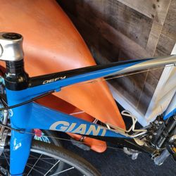 Giant Defy, Carbon Fork Bike