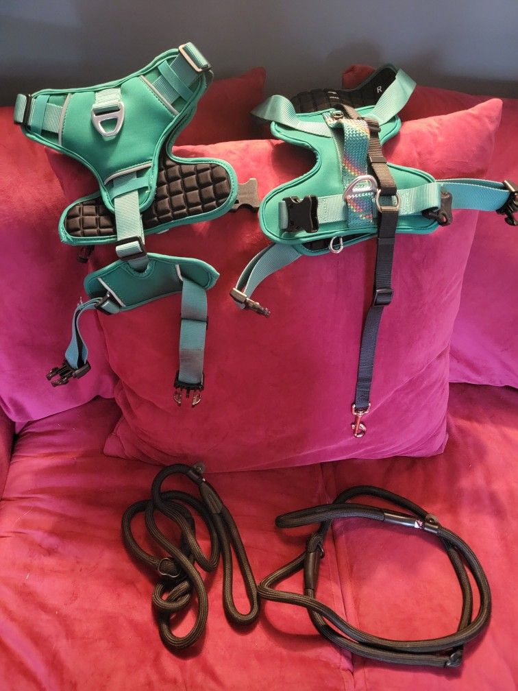 Dog Harnesses