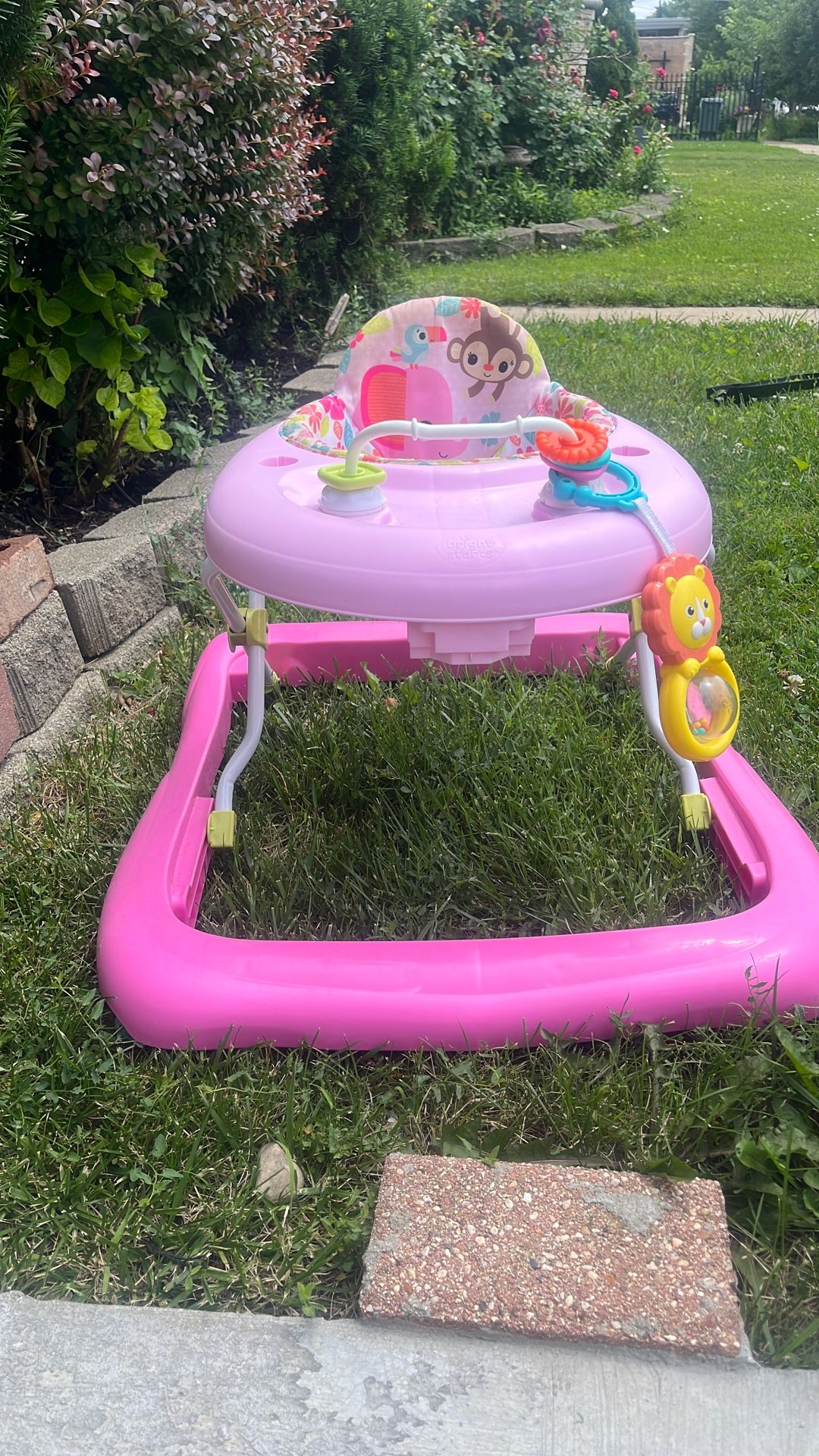 Baby Walker