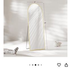 BRAND NEW UNUSED STANDING MIRROR