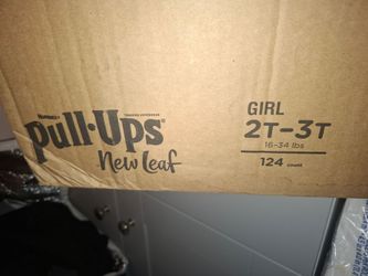 PULL-UPS SIZE 2T3T $35