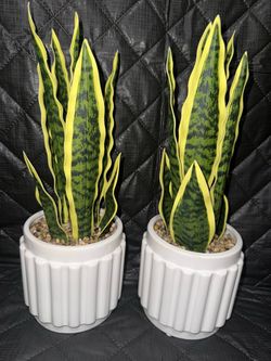 ARTIFICIAL SNAKE PLANT