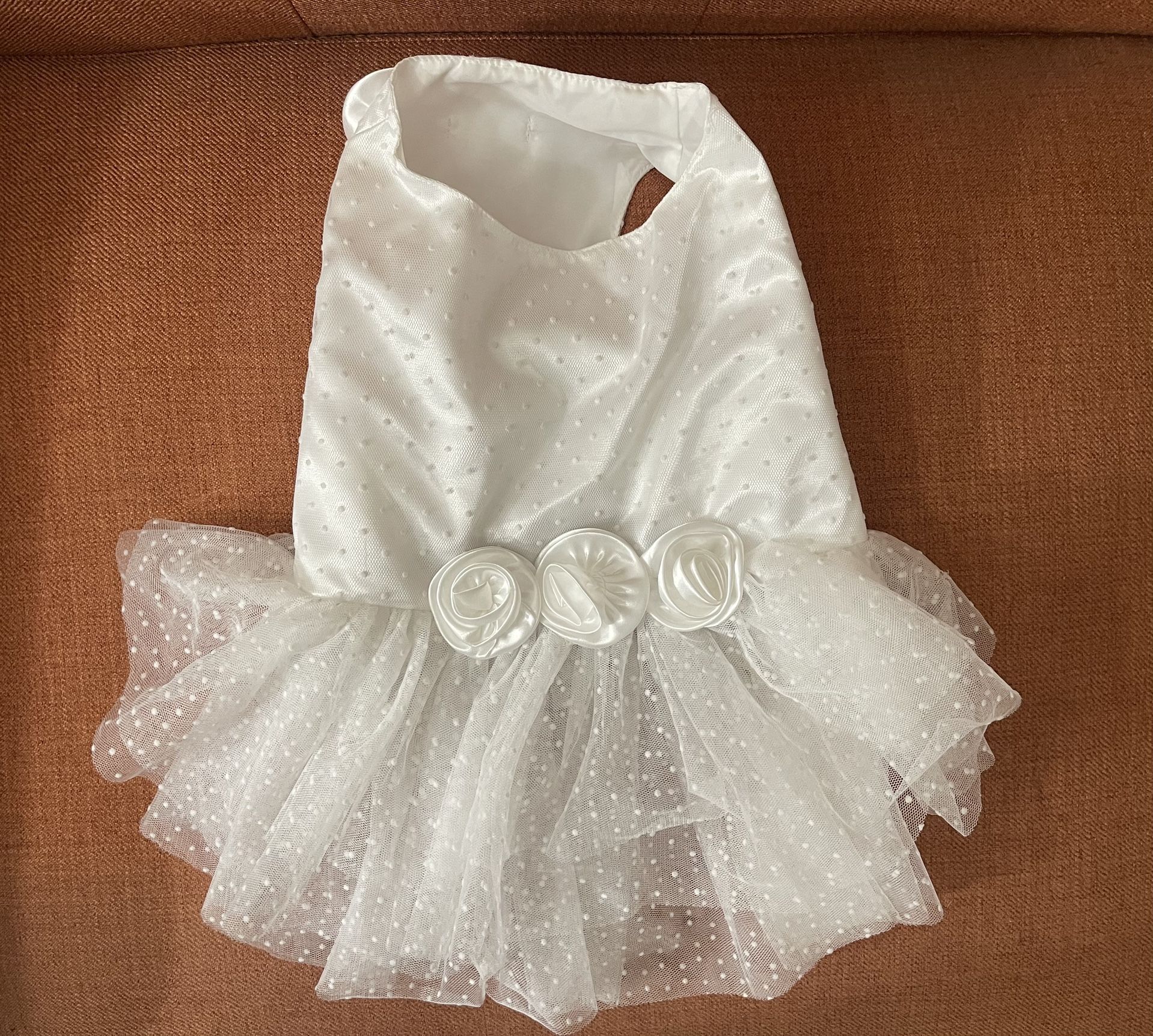 Dog White Dress