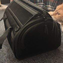 soft cat carrier 