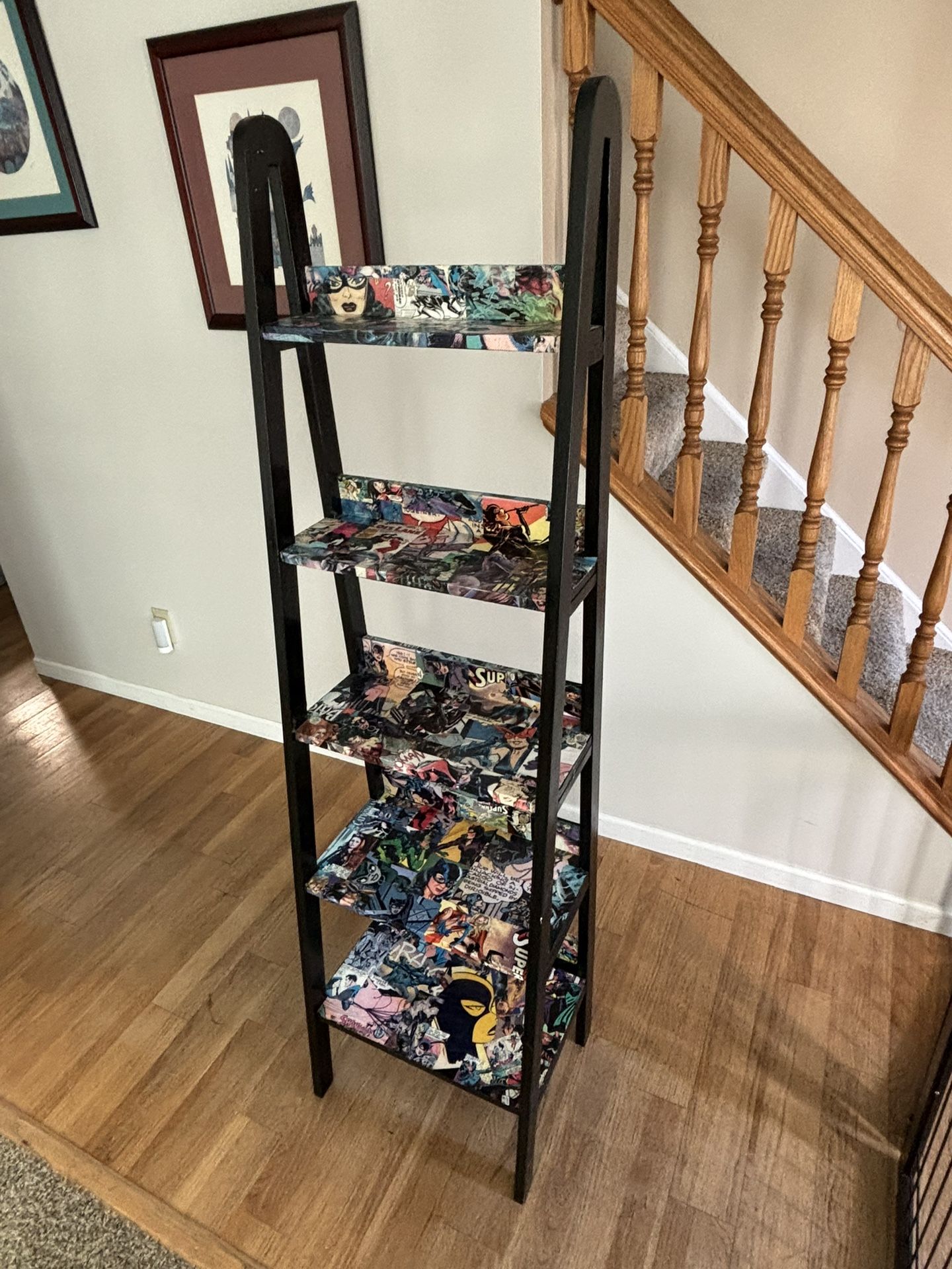 Cat Woman Comics Themed Shelving Unit