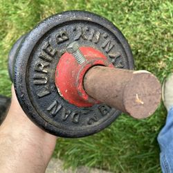 dan lurie weights dumbbells, hand weights