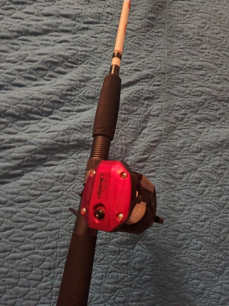 Berkley Big Game Fishing Pole