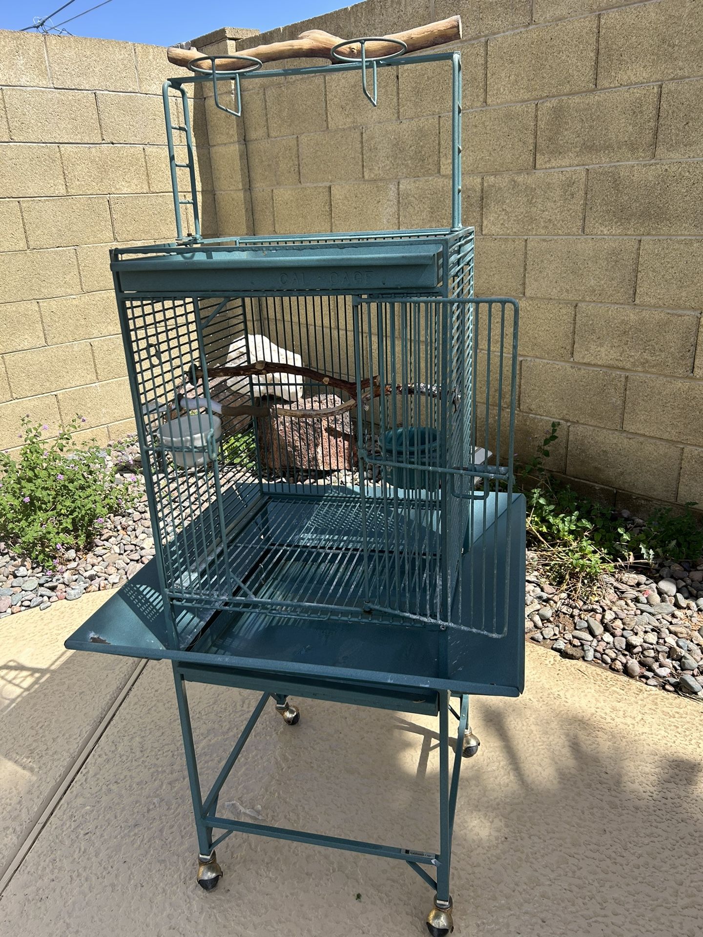Bird Cage