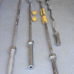 Bench And Curling Bars