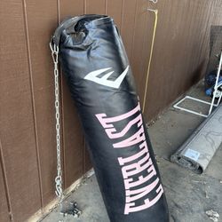 Everlast Punching Bag