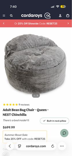 Bean bag chair pull out mattress