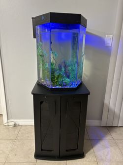 Fish Tank