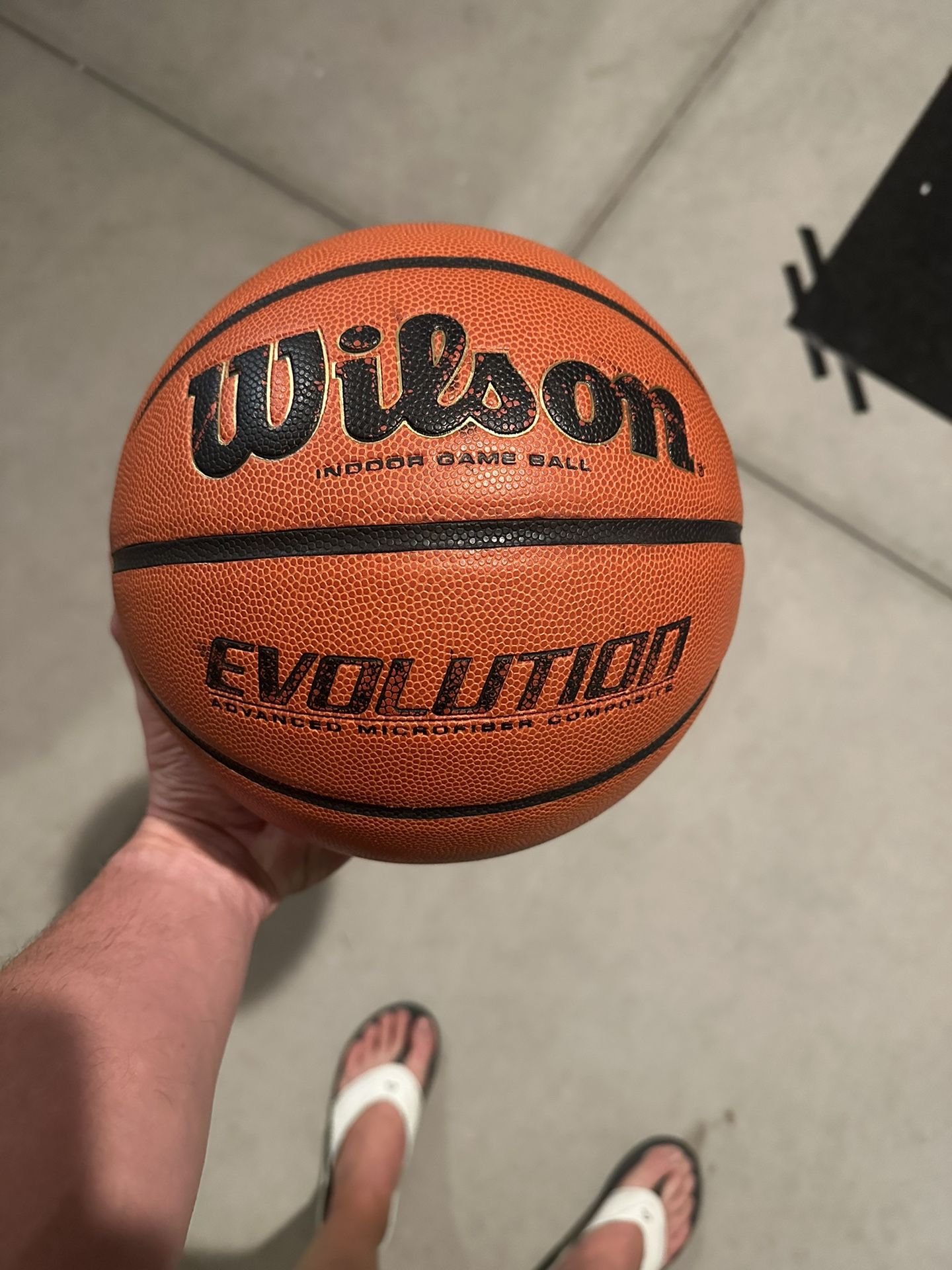 Wilson Evolution Basketball