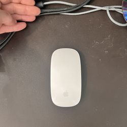 apple magic mouse gen 1 (battery powered)